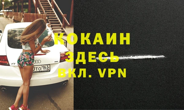 соль ск Арсеньев