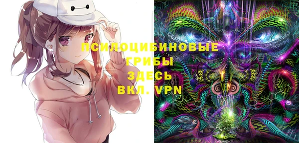 соль ск Арсеньев