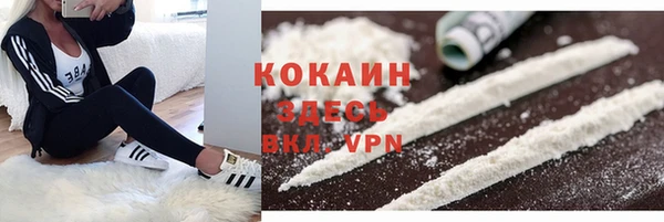 соль ск Арсеньев