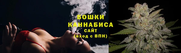 ПСИЛОЦИБИНОВЫЕ ГРИБЫ Аркадак