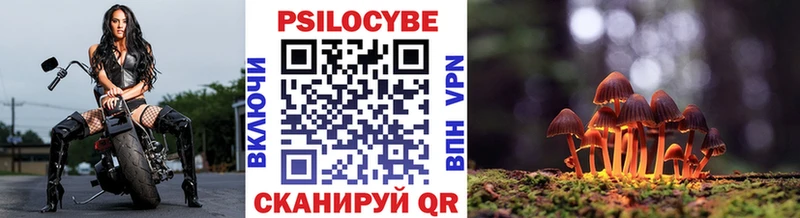 купить наркотики цена  Цивильск  Галлюциногенные грибы Psilocybe 